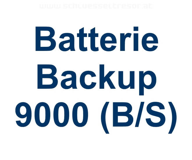 ca486cb92ba5387040381fc9cfff2e49 Batterie Backup 9000 (B/S)