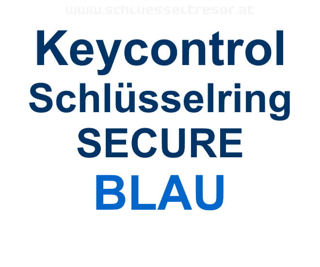 22b51f97831ae06dcbdfa99000f84258 Keycontrol Schlüssel-Ring BLAU SECURE