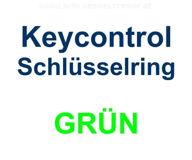 41e06986927e28b31bf1363028d11b87 Keycontrol Schlüssel-Ring GRÜN
