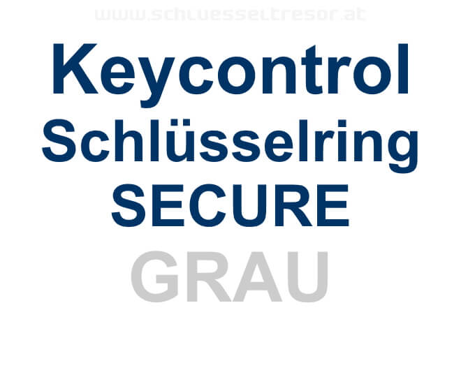 4f4d82d5ecbf4ee24748ac0f5da1865c Keycontrol Schlüssel-Ring GRAU SECURE