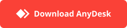 AnyDesk starten