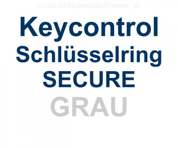 Keycontrol Schlüssel-Ring GRAU SECURE